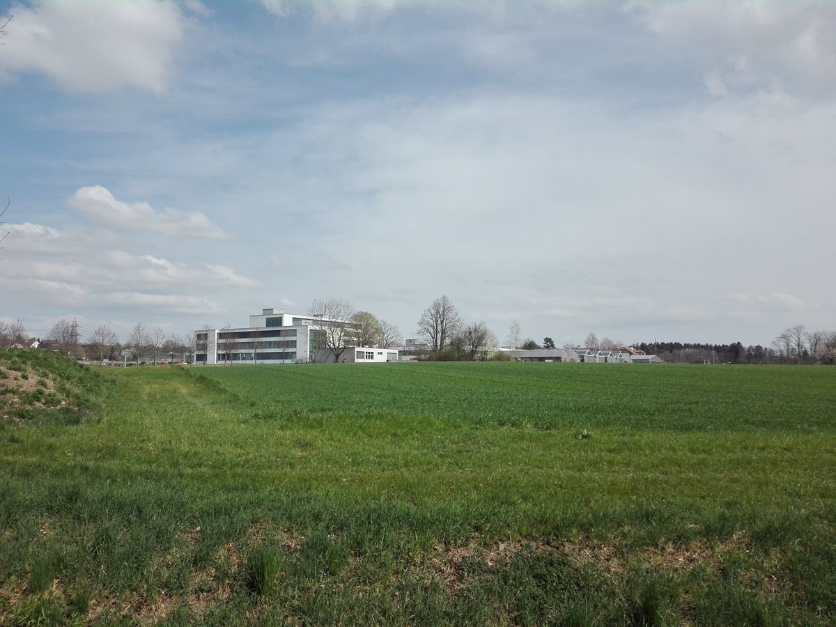 sudenhanna's tweet image. Had a nice visit at Agroscope Zurich. Enjoyed their cool research on Plantago mychorrhiza and beautiful  farm landscape so close to the city. Thanks Sam Banerjee! #Agroscope