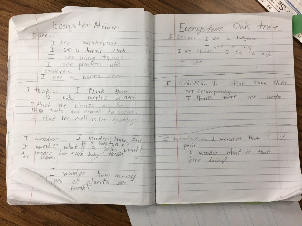 Kendall Lough (@lough_pyp) on Twitter photo These scientists found real life examples of how ecosystems #function and stay #balanced using <a href="/SpicewoodPYP/">Spicewood Elementary</a> Atrium and an Oak Tree. #authenticlearning #HTWW These scientists found real life examples of how ecosystems #function and stay #balanced using <a href="/SpicewoodPYP/">Spicewood Elementary</a> Atrium and an Oak Tree. #authenticlearning #HTWW
