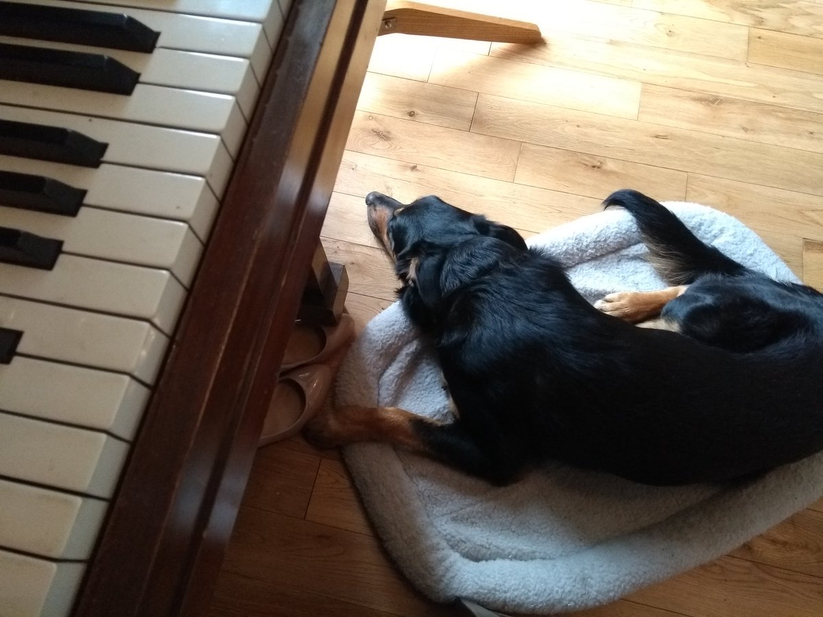 Louise Wayman tweet media