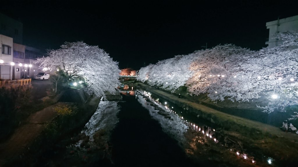 美祢さくら公園 美祢さくら公園