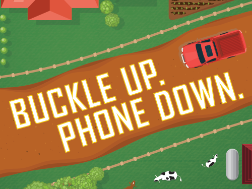 April is Distracted Driving Awareness Month. Sign our online Safe Driver Pledge, follow us on Twitter, and retweet! Remember: #BuckleUp and put the #PhoneDown ! Pledge:  drivesmartva.org/current-projec…