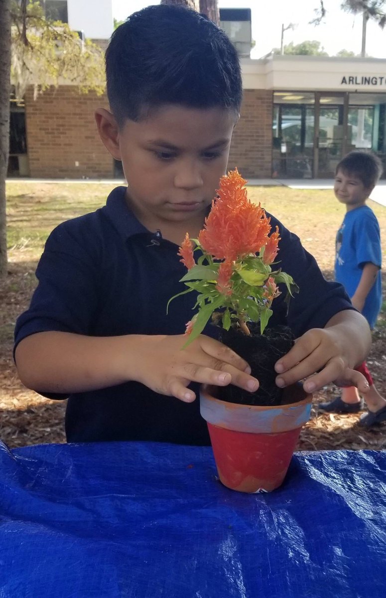 SarasotaPRD's tweet image. Our Junior Nature Agents enjoyed learning about plants and planted their own flowers yesterday at Arlington Park &amp;amp; Aquatic Complex! 🌺🌺🌺

@cityofsarasota @SarasotaPRD #agentsofnature #nature #grow #sarasota #floridaflowers #learn #kids #visitsarasota #fun