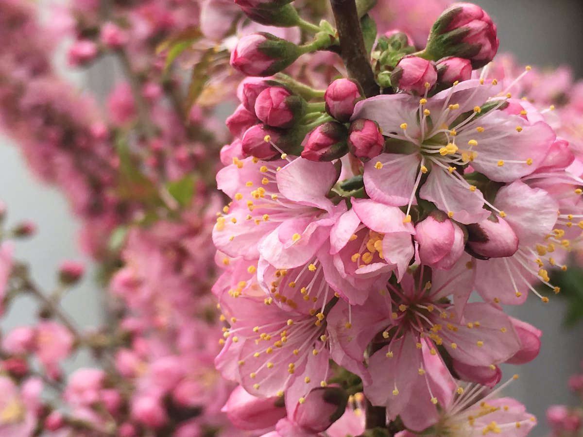 さよなら、我が家