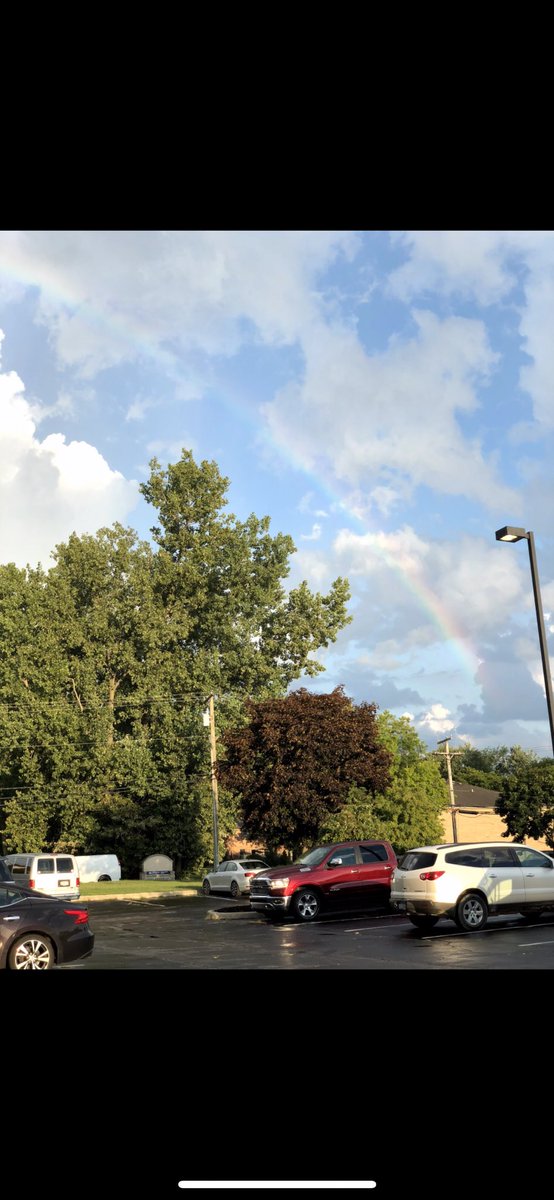 zoey_marku's tweet image. Every angle magnificent! #ShelbyTwpTree.