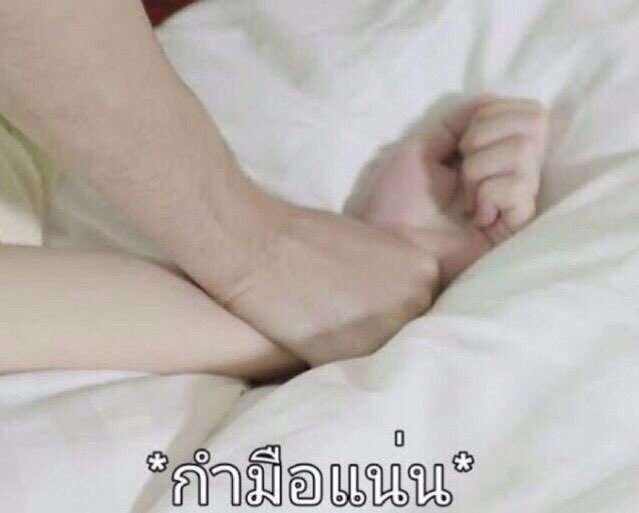 ลอปอ. tweet media