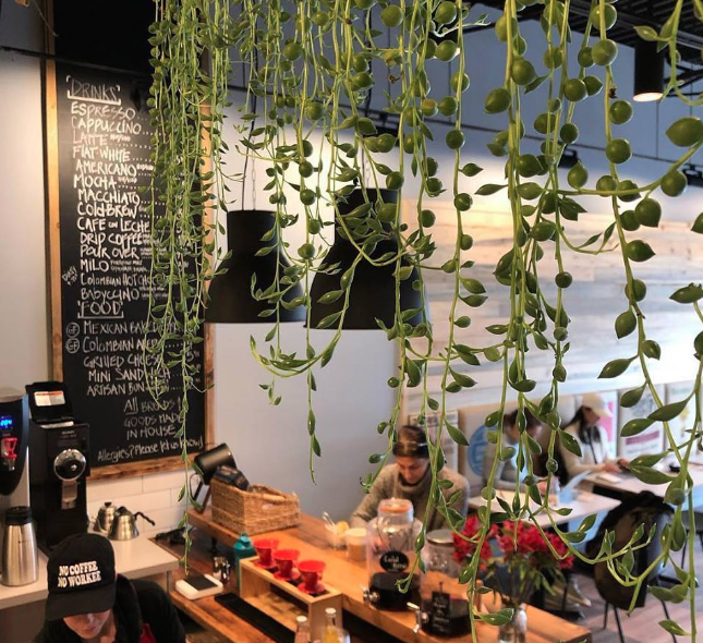 Gotham Signs tweet media