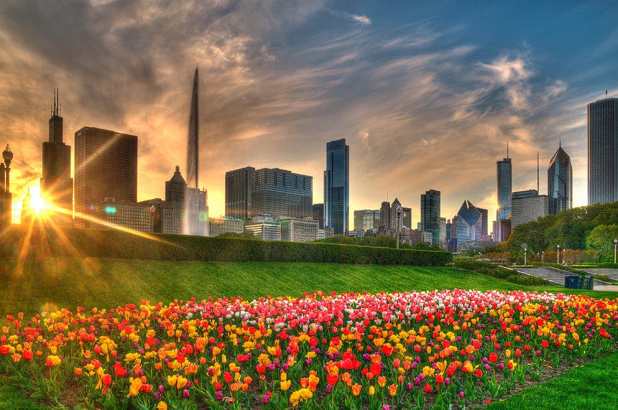 InfinityChicago's tweet photo. Spring is upon us in Chicago, and that only means one thing: outdoor activities.Whether you and your group are planning on attending a Cubs game, a concert, or any other outdoor event, look no further than Infinity Transportation for your luxury charter bus needs. https://t.co/V3oMdSipf8