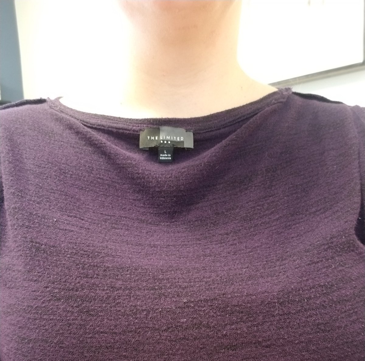 LMKrules's tweet image. Parenting achievement level unlocked: so tired this morning that I put shirt on inside out and backwards and had zero knowledge if until coworker alerted me. This is a close second to the time I accidentally shared my webcam during a conference call mid-pump. #workingmomproblems