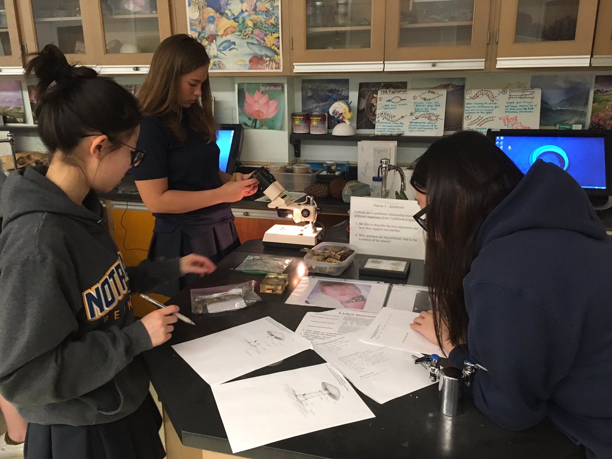 TechBioBek's tweet image. FUNgi are amazing!!! #ndbtigers #apbio3 #sciencerocks