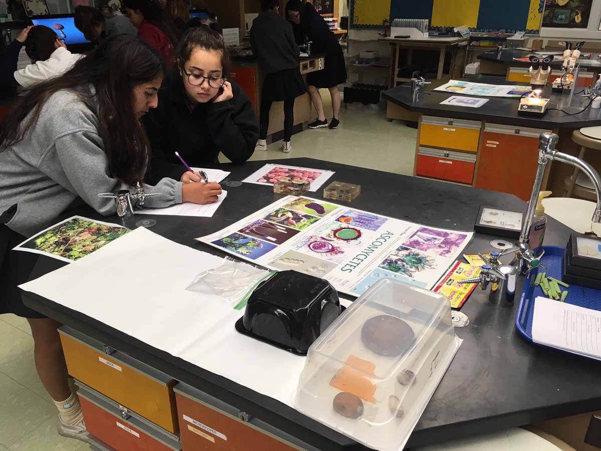 TechBioBek's tweet image. FUNgi are amazing!!! #ndbtigers #apbio3 #sciencerocks