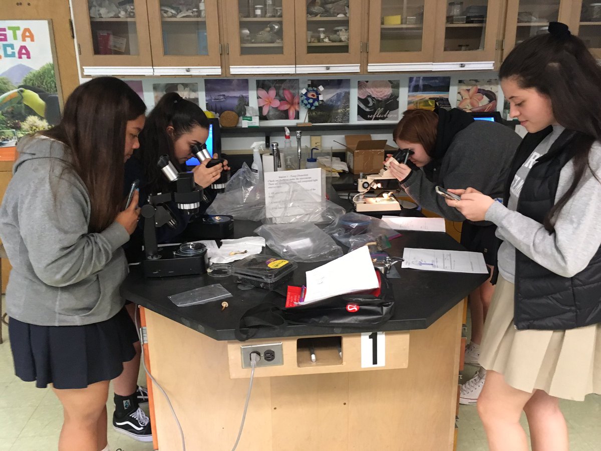 TechBioBek's tweet image. FUNgi are amazing!!! #ndbtigers #apbio3 #sciencerocks