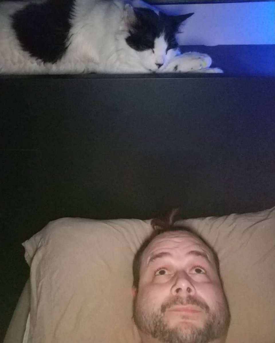 gayagendayyc_0's tweet photo. What the #FBIguy in my phone sees while I'm watching porn... Me, just reeling from the #eyeofjudgement my #Puritanical cat is giving me. #KhalDrogo is SUCH a late night #buzzkill.
.
.
#TheGays™ #gays #gayyyc #gaycanada 🇨🇦 #grindrec #scruff #fapfapfap #notimealone #sexforone https://t.co/7Qnwfo4PG3