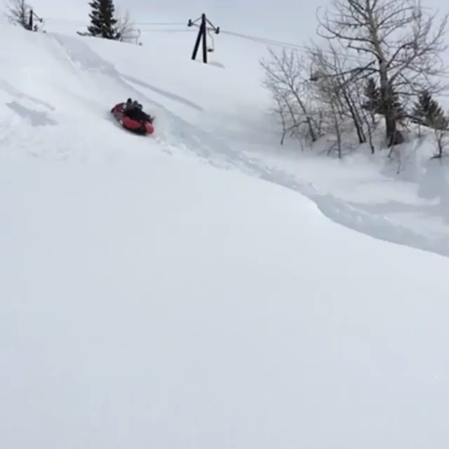 Supersingularit's tweet photo. 😆 would you join this ride?
Creds to 🎥 Ross Baker
Follow 👉 @supersingularity for more... https://t.co/YQHHKe8kRv https://t.co/DNee7PwRRd
