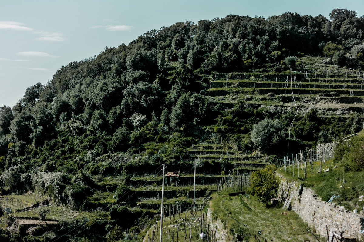 mxna0x's tweet photo. Not to be a beg or anything but I just uploaded part 1 of my Italy story on insta and I kinda spent a lot of time editing so yeah 
Insta: minae.jpg https://t.co/dNswGkaWq1