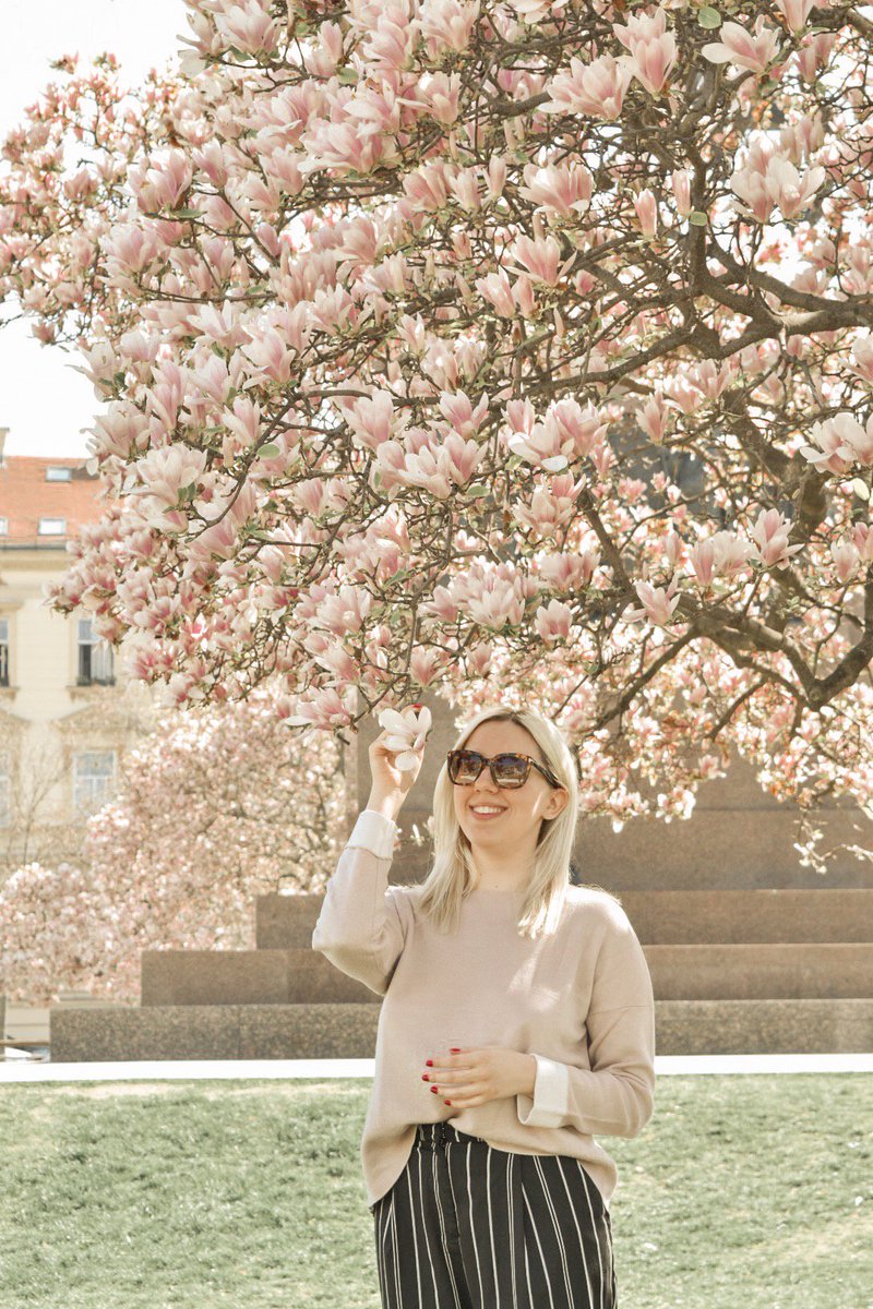 siennabelic's tweet image. NEW POST! How to look chic on a budget this Spring? 😘🌸💲

➡️ fashionintheair.com/2019/04/how-to…

/ #springtrend #fashionblogger #fashionintheair #hm #outfitpost #OOTD  @FemaleBloggerRT @BestBlogRT @BBlogRT #GRLPOWR @hm /