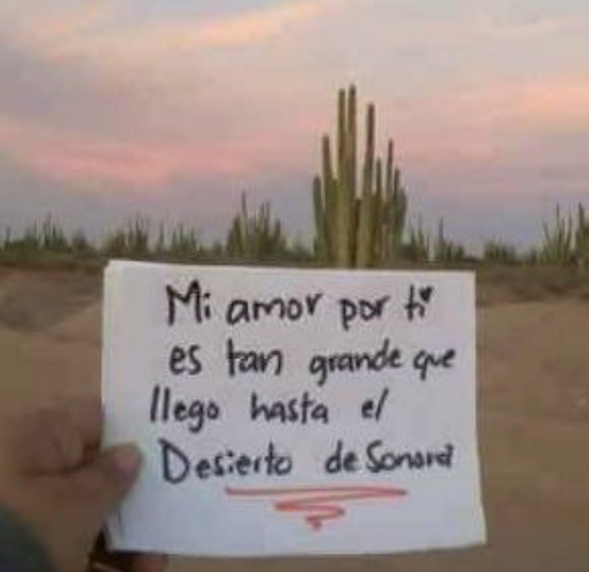 regaloparamino1's tweet photo. HOLA! Necesito ayuda para hacerle un regalo a mi novio!! Podemos intercambiar si quieren !! Soy de Buenos Aires argentina! Necesito que me manden fotos así de distintas partes!! El texto se los digo por privado por si mi novio lo ve de algún lado 😰 no quiero arruinar la sorpresa https://t.co/McE7DjGJi6