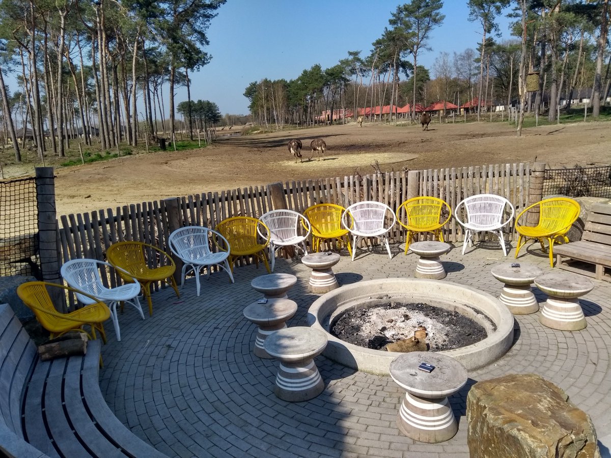 Onno Staal tweet media