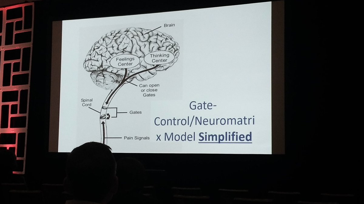 TaraLPackham's tweet photo. Simple graphic for pain education courtesy of Beverly Thorn #CanadianPain19 https://t.co/43b7tOAE1d