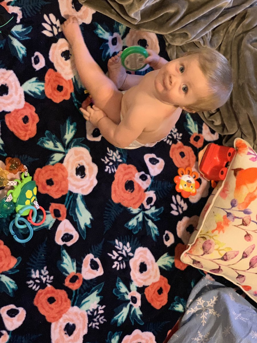 SweetDee0's tweet photo. Really could use one of those fence contraptions you have right about now @Wrekonize 😂  #babysitting #lockemin #kids https://t.co/jqJNHSZSrU
