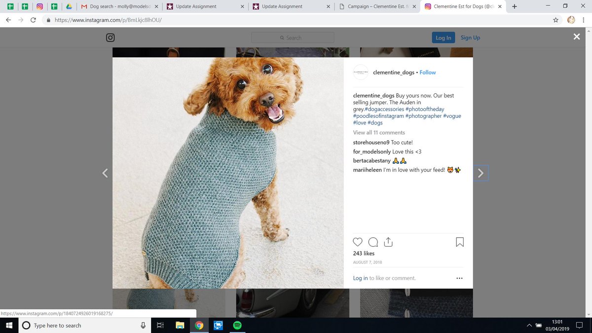 models_direct's tweet image. Some lovely shots of Candy from our most recent work with The Clementine on their Instagram... another shoot coming soon! #petmodelling #cute #modelsdirect