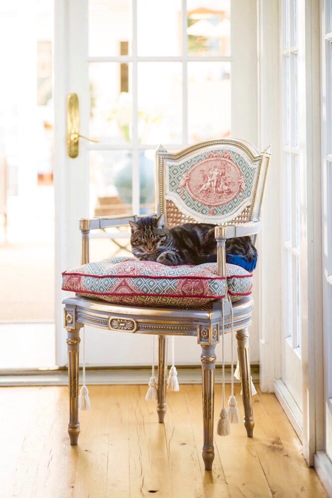 Our brand new, Collazzone chair. Handmade by our artisans in Italy. Cat not included. #Italy #interiordesign #Design #Style #cat #kittens