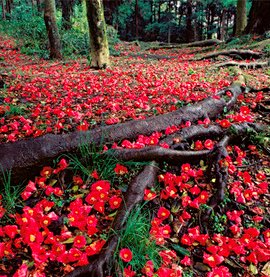 김윤아 tweet media