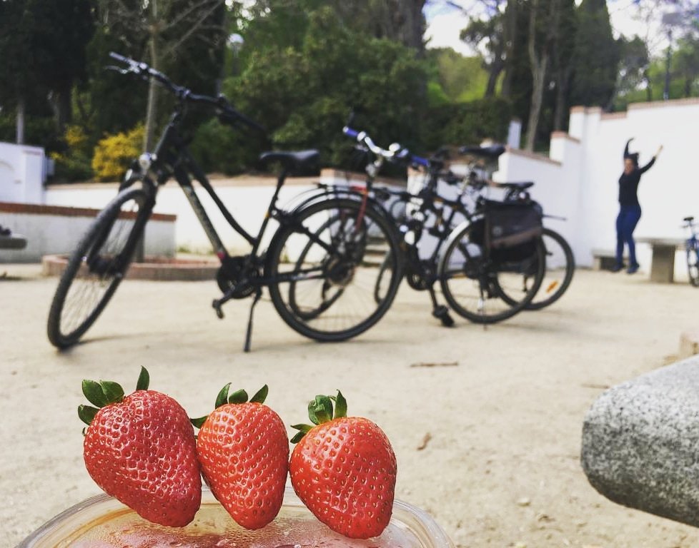 BiciTtec's tweet photo. Dia tres #fresonesrebeldes
#30debmadrid #30DEB #madrid #grupotragsa #BiciTtec #30diasenbici
#altrabajoenbici #parque https://t.co/V0TDcPHfTx
