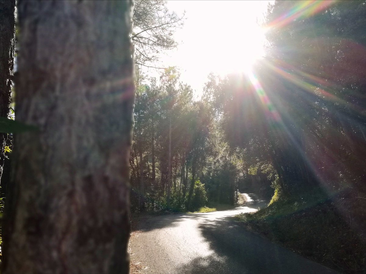 Carreteres com aquesta, territori <a href="/RocacorbaGF/">Rocacorba Gran Fondo</a> 😍😍

 ➡️ rocacorbagranfondo.com