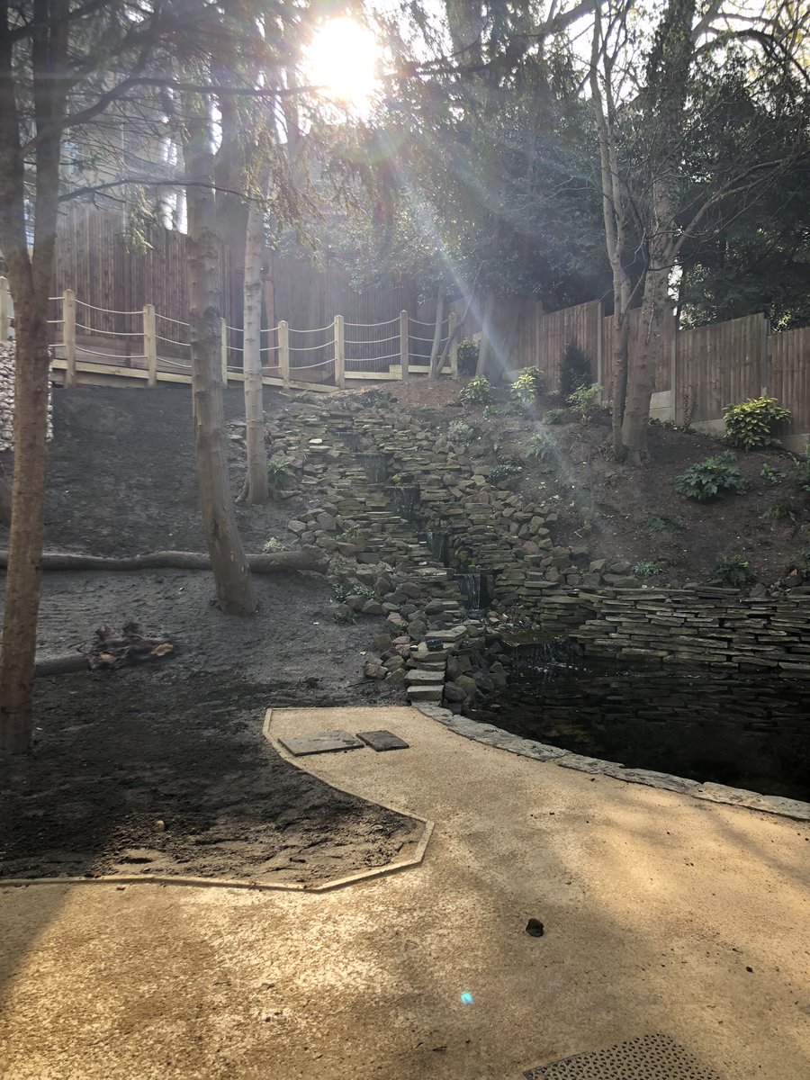 LondonLightbox's tweet photo. Sunshine flooding through the trees at our project at Fountain Drive, SE19, this morning. Beautiful. #sunshine #dulwichestate #waterfall https://t.co/pldVBodeaL