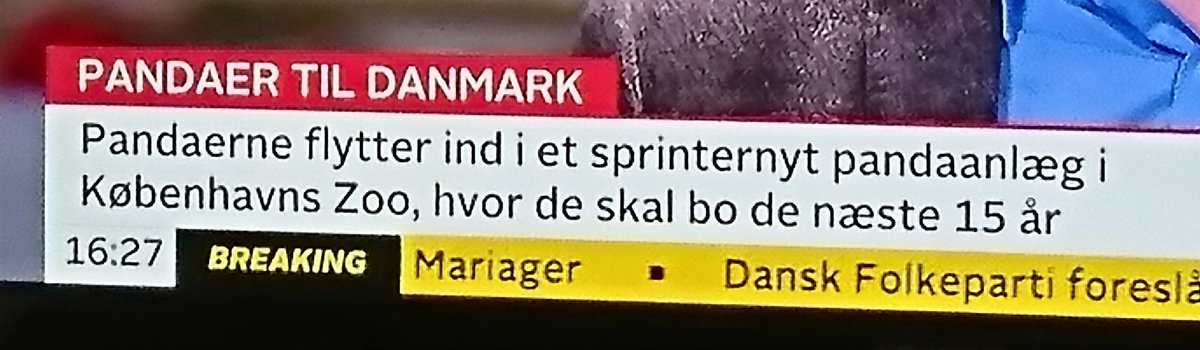 JetteDitlev's tweet image. Hvad er sprinternyt mon for et nyt ord? 😂😂
@tv2newsdk #panda #pandagate #dkmedier
