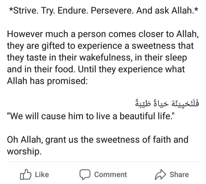 bint_ansarmeeah's tweet photo. Journey to Allah even when you're limping and broken... #timetoreturn #backtoAllah #Ramadhanready https://t.co/VwfWnRsHHn