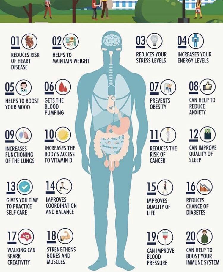 ABLHealth's tweet photo. Happy #NationalWalkingDay &amp; #WorkoutWednesday!🚶‍♀️

Exercise doesn't have to be a hard session in the gym or a 5k run... Going for a brisk walk is another perfect way to squeeze exercise into your routine. Not only does it help you physically, but it helps your mental health too!💭 https://t.co/186vqkJTQv