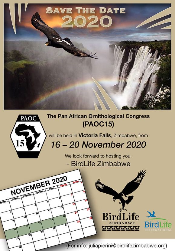 Phil Atkinson (@plectrophenax) on Twitter photo Save the date - 15th Pan African Ornithological Congress - 16-20 Nov 2020, Victoria Falls, Zimbabwe. Call for symposia opens soon. Pass the message on... #ornithology  #PAOC15 Save the date - 15th Pan African Ornithological Congress - 16-20 Nov 2020, Victoria Falls, Zimbabwe. Call for symposia opens soon. Pass the message on... #ornithology  #PAOC15