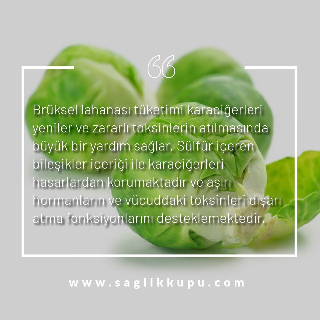 saglikkupucom's tweet photo. Brüksel lahanası tüketimi karaciğerleri yeniler ve zararlı toksinlerin atılmasında büyük bir yardım sağlar.
#HukuktanKorkma #TekTipAskerlikNisanda #MuştaOylarSayılsın #MazbatamızıVerin MetroVeMediaMarktaBOYKOT https://t.co/ciOkco5WaR