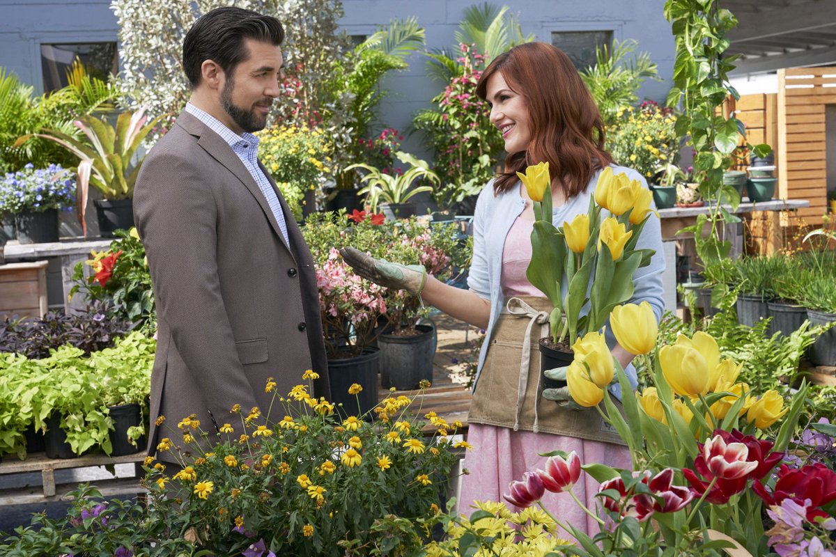 FilmFlorida's tweet photo. Mark your calendars or set your DVR for "True Love Blooms" on Hallmark Channel Sat. April 6 at 8pm, filmed in the Tampa/St. Pete/Clearwater area including many Florida-based cast and crew. @hallmarkchannel @FilmTampaBay @FilmStPeteClear
Read/Watch at https://t.co/HXeVJLPQW6 https://t.co/8NlndxIXcs
