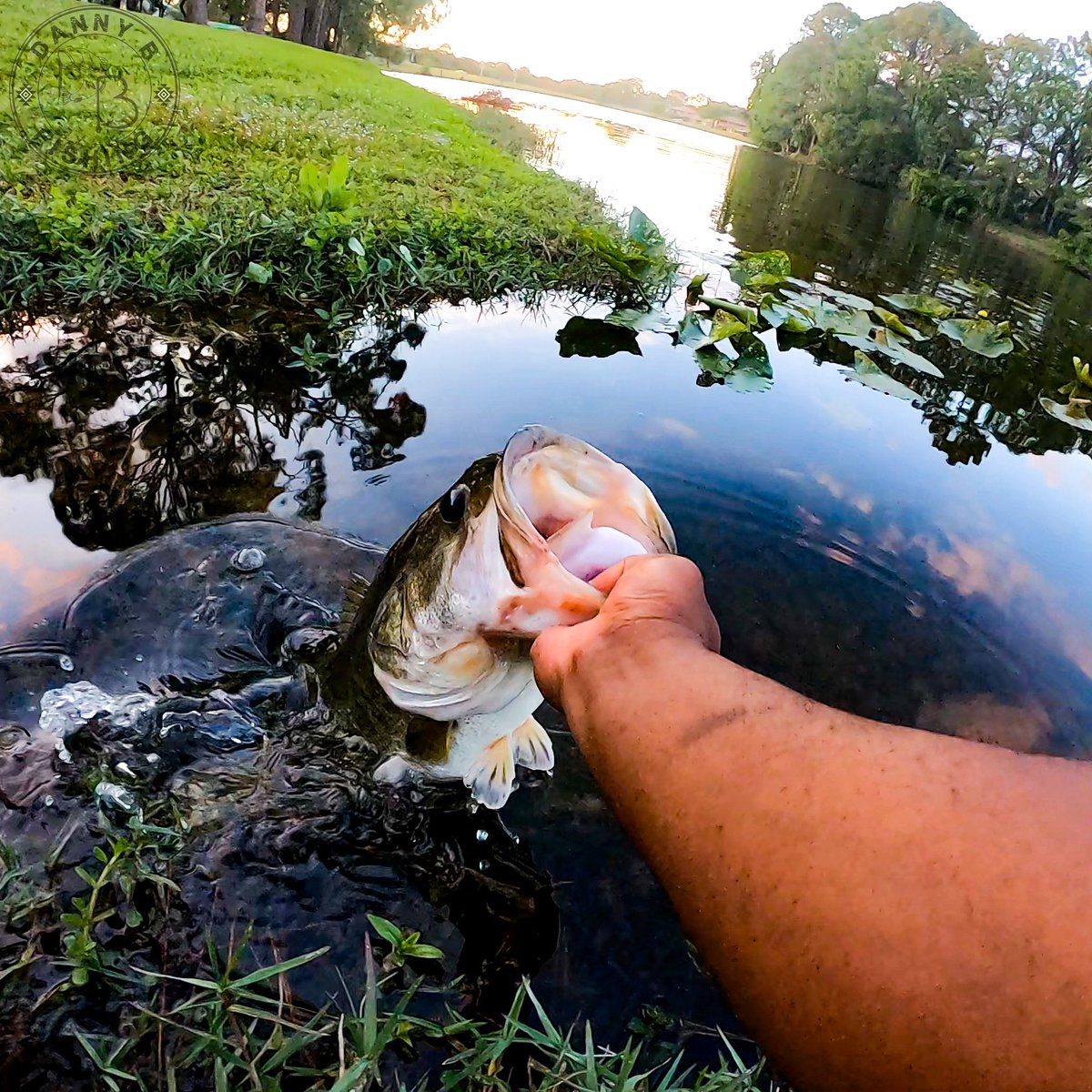 DannyBFishing's tweet photo. Putting her right back where I caught her #catchandrelease 

#DannyBFishing #GoCatchEm #Roadto1K #bassfishing #travelcountry #hobie #mccainrods #gamblerlures #swaggertackle #bigbass #florida #aftcofishing #hobiepolarized #bassspawn #bigbass #bigbassonly #kfns #tightlines #fishing https://t.co/5NuvCzDWt4