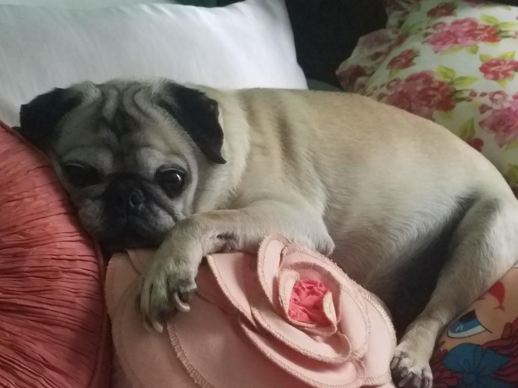 Devin1423's tweet image. #GoodMorning