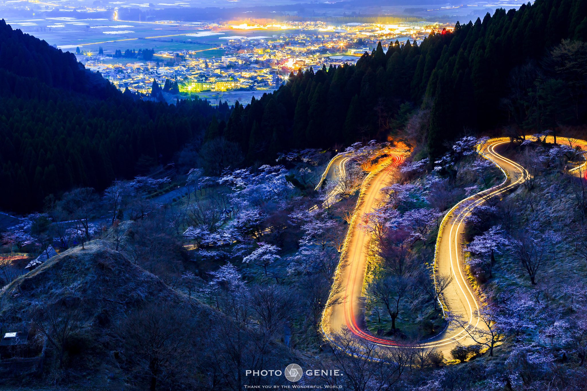 高森峠千本桜 Twitter Search Twitter