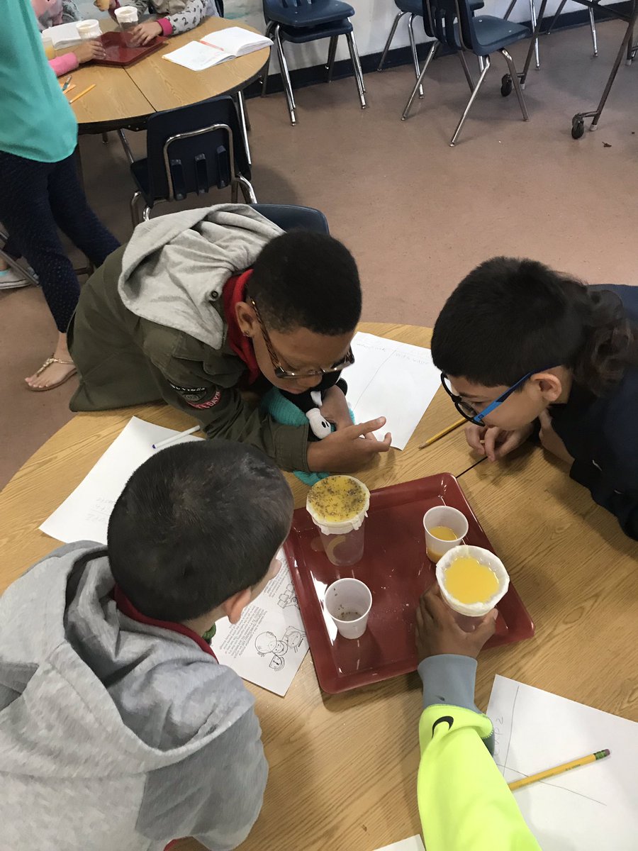 mamberblake's tweet photo. What do you do when you have an exciting science lesson to teach, but you don’t want to disturb any testing groups?  You get approval to relocate, of course. @MortElementary @WeAreHAEST @utrpp https://t.co/CiRrXUOFAx