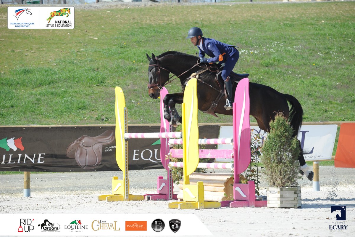 Fédération Française d'Équitation tweet media