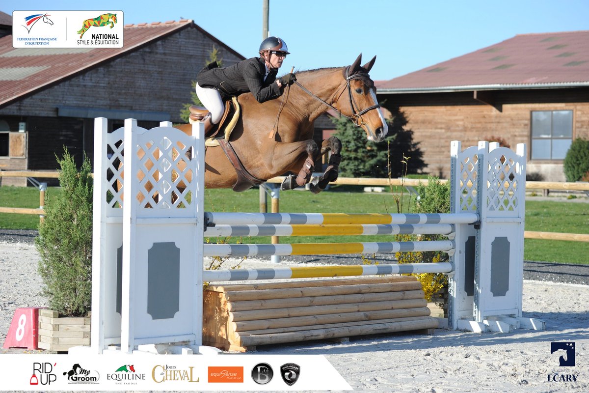 Fédération Française d'Équitation tweet media