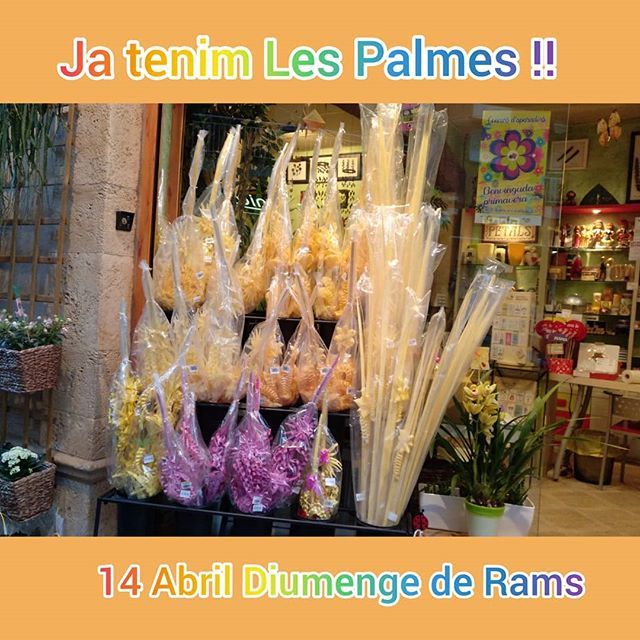 petalslatorre's tweet photo. 💮Tu ets d' estrenar vestit i sabates de Primavera per Diumenge de Rams ?
💮És tot un clàssic,  igual que La Palma i El Palmó.
👉Apunta a l'agenda que Diumenge 14 d' Abril és diumenge de Rams.
👉Vine a #floristariapetalstorredembarra
a reservar La Palma o el Palmó, pels teus… https://t.co/wPIT39B4kd