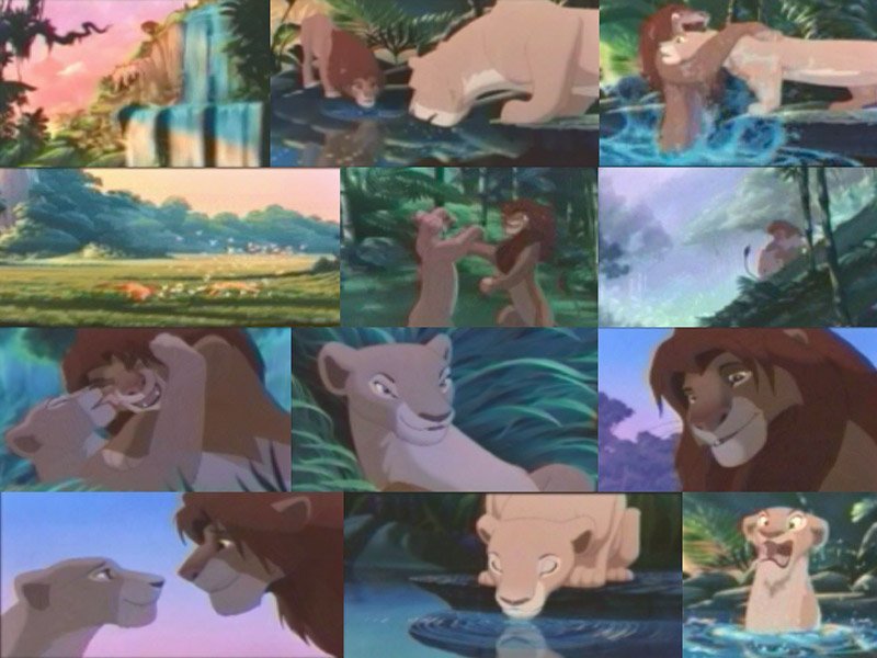 MAGICVIPTOURS1's tweet photo. Did you know ? In the Lion King, the song “Can You Feel The Love Tonight?”was originally supposed to be performed by Timon and Pumba. #wdw #magicviptours #disneyland #WaltDisneyWorld https://t.co/GhyikLcZNT