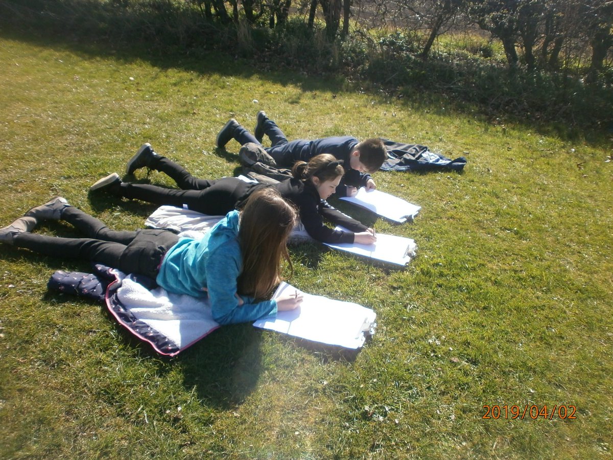 aberladyschool's tweet photo. P4/5 had a wonderful morning yesterday identifying types of hedges and insects, bird watching and very much enjoying the outdoors! Huge thank you to John Harrison our local ranger for his invaluable input. #aps45 https://t.co/K8glJgG3hG