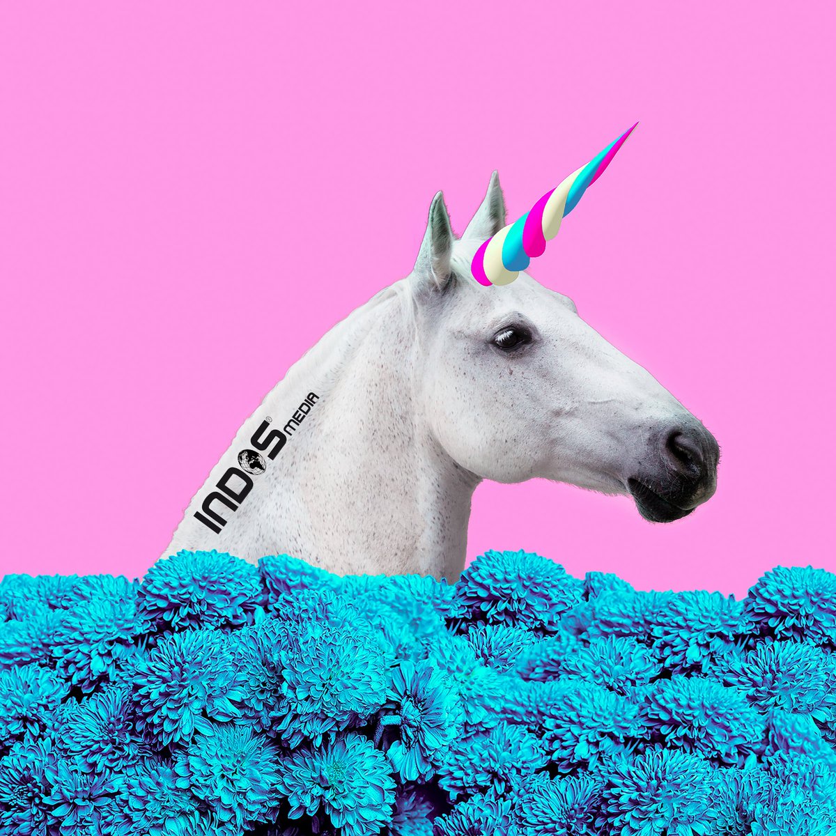 indosmedia's tweet photo. Gestionamos #RedesSociales para convertirte en #EmpresaUnicornio 🦄
¡¡Los unicornios existen😱!! 
En #IndosMedia te ayudamos con la gestión de tus Redes Sociales 📲 a dar visibilidad a tu empresa, llegar a tus clientes y crear una imagen de marca sólida ✅.  Somos de #leonesp https://t.co/GQTvt7hVv7