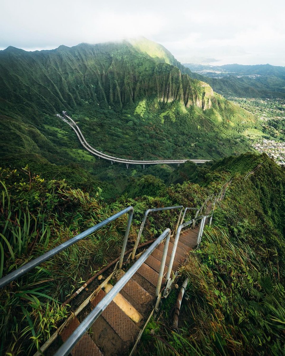 TravelVida's tweet photo. Hawaii https://t.co/THV71MXl3D