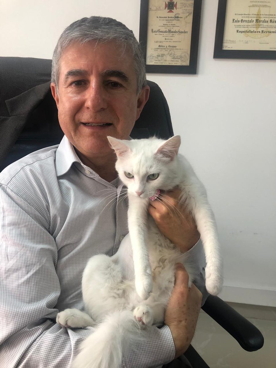 Luis Gonzalo Morales tweet media