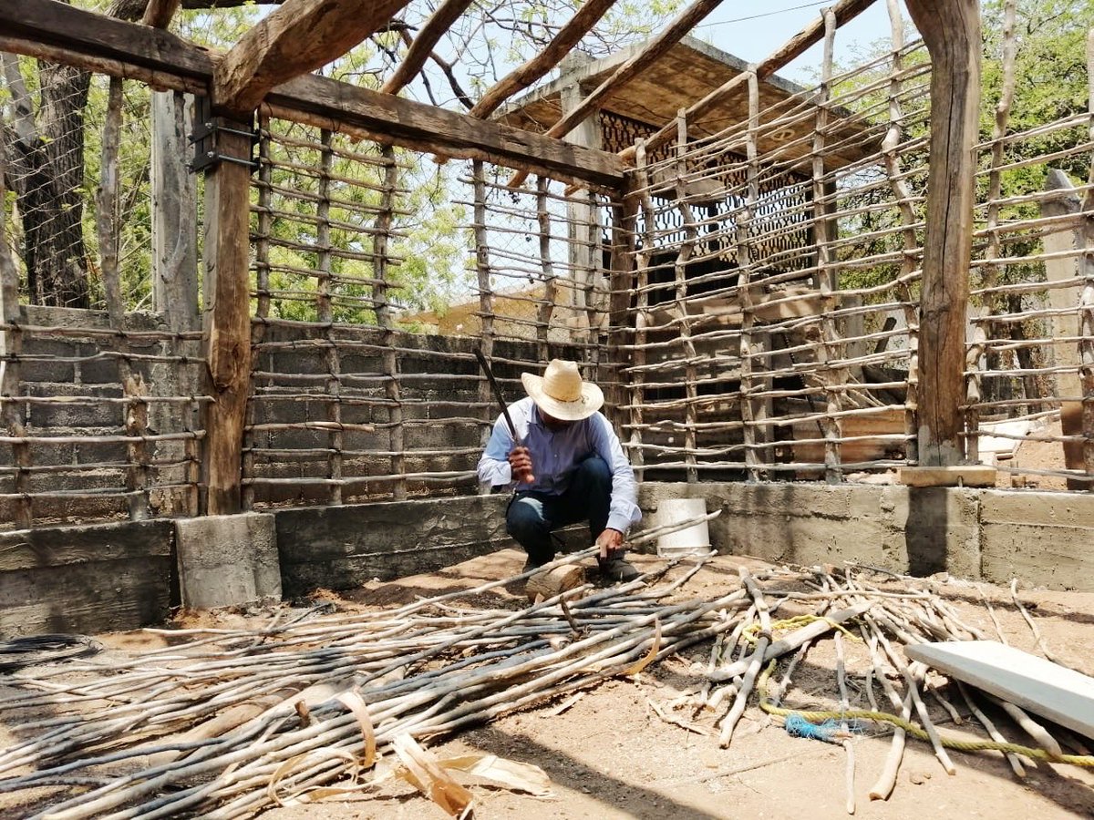 comunaltaller's tweet photo. Recuperación y reforzamiento de vivienda tradicional istmeña de bajareque. Ixtepec, istmo de Tehuantepec. Oaxaca. #ReconstrucciónSocialdelHábitat https://t.co/44OmPHHR6Y