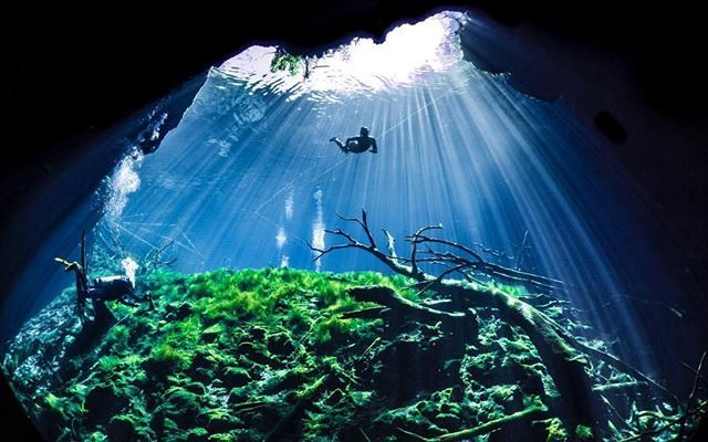 SDIdivers's tweet photo. Does diving ever make you feel small? #SDIdivers
📷@taeyupkim_yupee
#diveSDI #SDITDI #divedivedive #scubalife #scubadiving #scubalifestyle #scubadiver #scuba #scubadive #scubasquad #scubafamily #scuba_diving #divelife #scubatime #getcertifi… https://t.co/UkbAFuyaB4 https://t.co/hHgjW6kjq6
