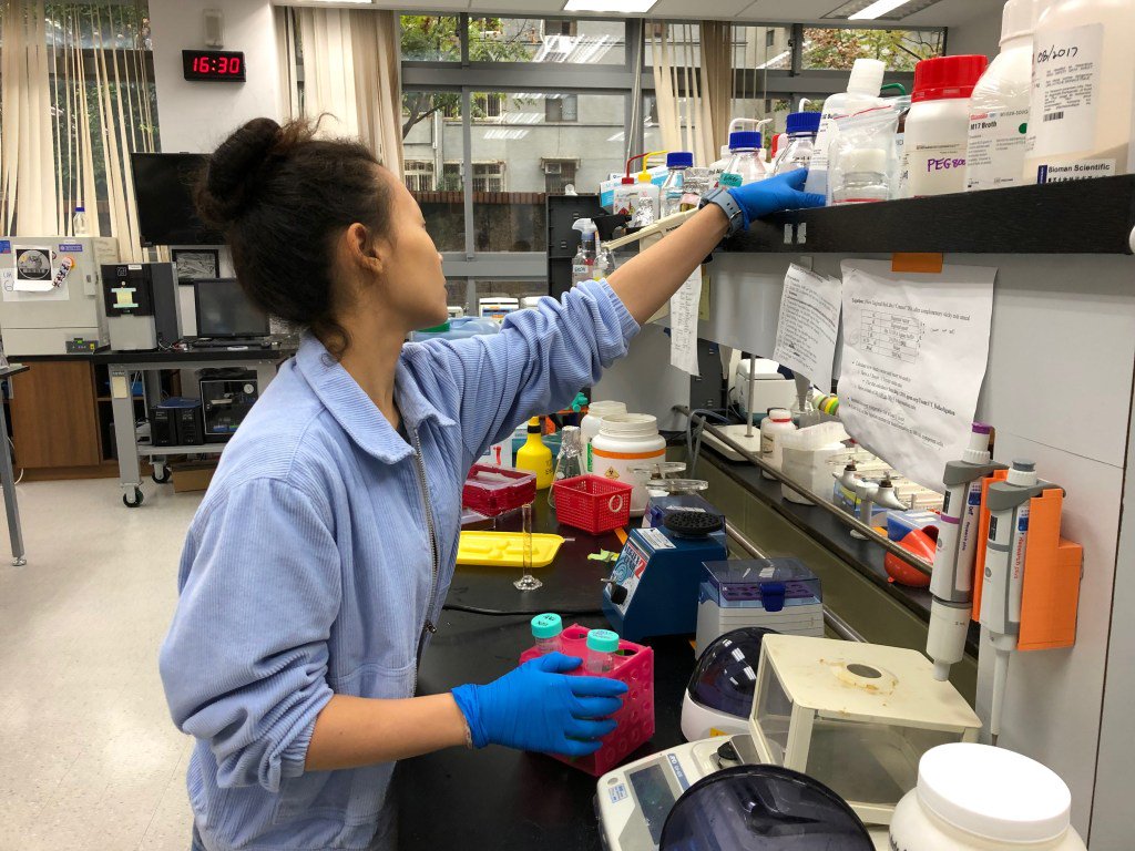 OPINION | Should gene editing be our future? blueandgoldonline.org/wp/2019/04/03/…